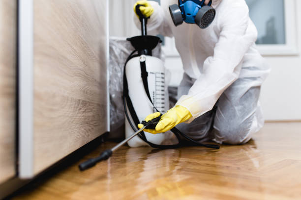 Best Mosquito Control Services  in Greeneville, TN