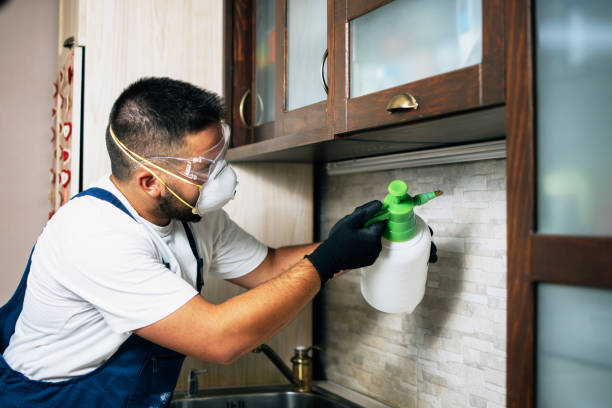  Greeneville, TN Pest Control Pros