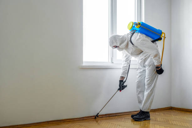 Flea Control Services in Greeneville, TN