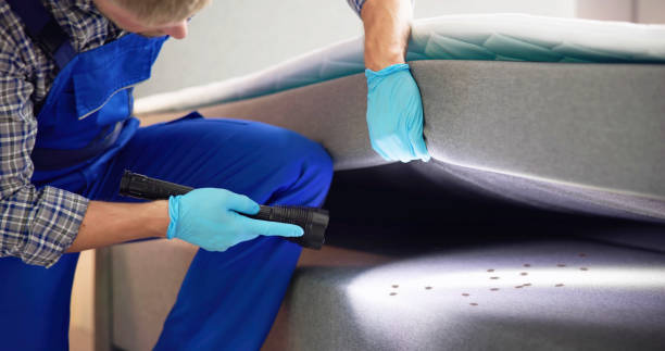 Pest Prevention Services in Greeneville, TN