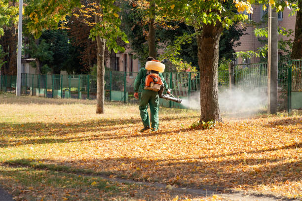 Best Bed Bug Extermination  in Greeneville, TN