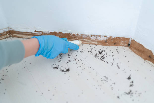 Best Commercial Pest Control Services  in Greeneville, TN